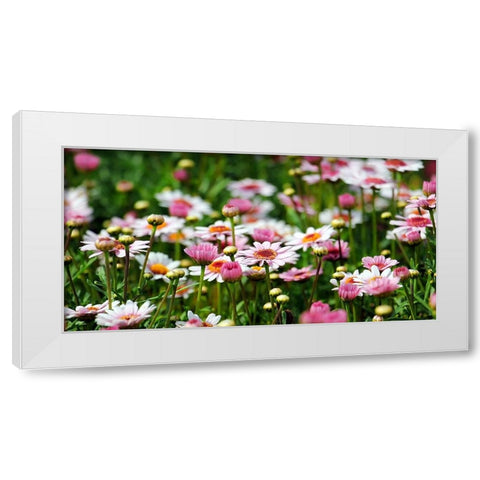 Flower 48 White Modern Wood Framed Art Print by Lee, Rachel