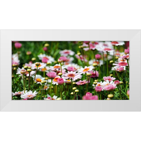 Flower 48 White Modern Wood Framed Art Print by Lee, Rachel