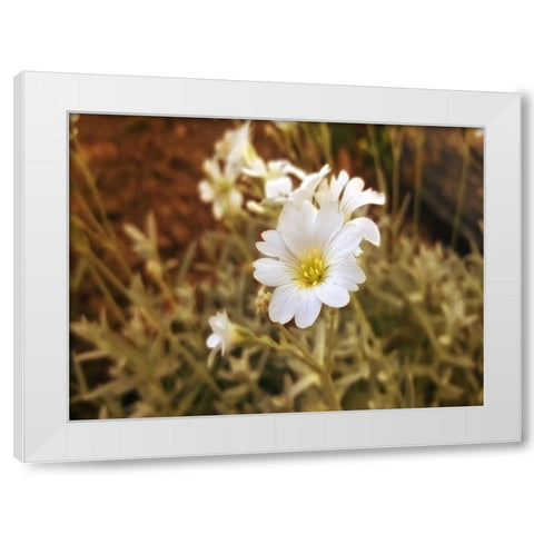 Flower 52 White Modern Wood Framed Art Print by Lee, Rachel