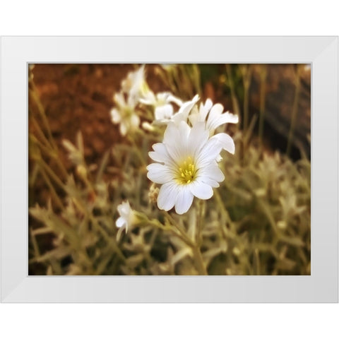 Flower 52 White Modern Wood Framed Art Print by Lee, Rachel