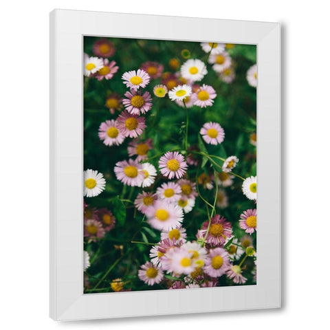 Flower 53 White Modern Wood Framed Art Print by Lee, Rachel