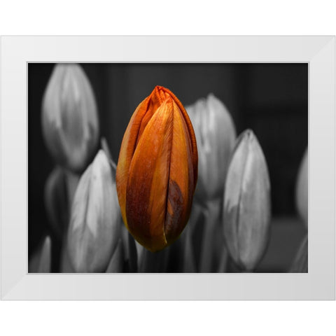 Flower 66 White Modern Wood Framed Art Print by Lee, Rachel