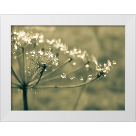 Flower 67 White Modern Wood Framed Art Print by Lee, Rachel