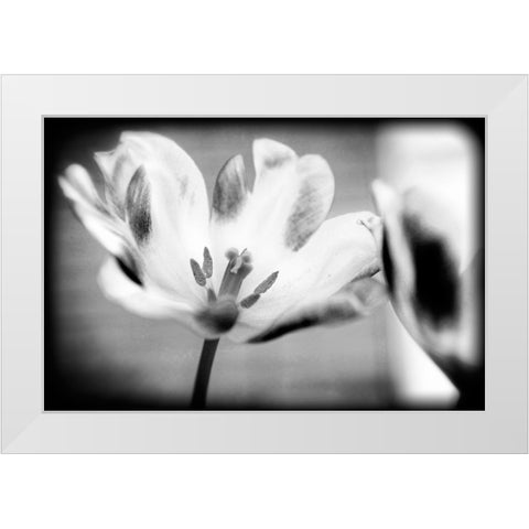 Flower Pink BW Holga White Modern Wood Framed Art Print by Lee, Rachel