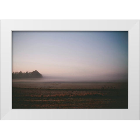Foggy Field White Modern Wood Framed Art Print by Lee, Rachel