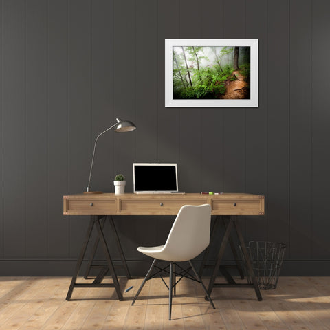 Foggy Forest Path White Modern Wood Framed Art Print by Lee, Rachel