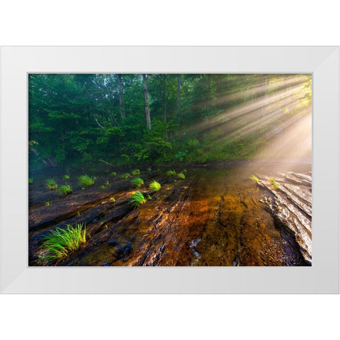Hiwassee Morning Rays White Modern Wood Framed Art Print by Lee, Rachel