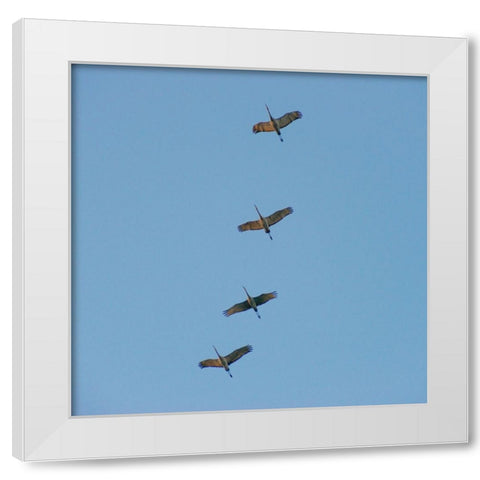 Hiwassee Refuge 4 White Modern Wood Framed Art Print by Lee, Rachel