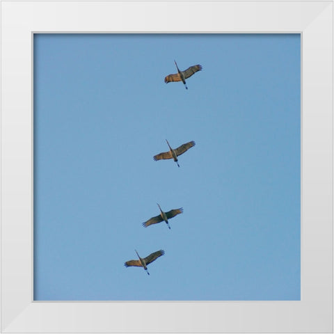 Hiwassee Refuge 4 White Modern Wood Framed Art Print by Lee, Rachel