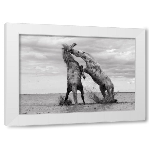Horse 1 White Modern Wood Framed Art Print by Lee, Rachel