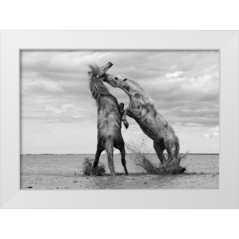 Horse 1 White Modern Wood Framed Art Print by Lee, Rachel
