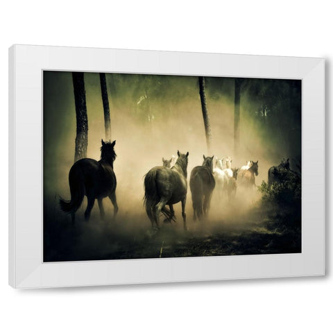 Horse 4 White Modern Wood Framed Art Print by Lee, Rachel