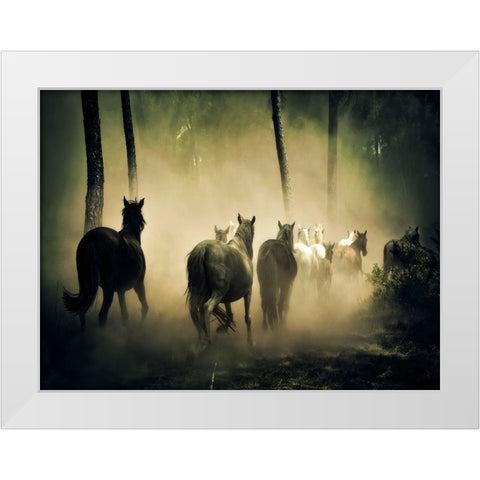 Horse 4 White Modern Wood Framed Art Print by Lee, Rachel