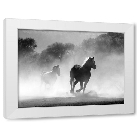 Horse 6 White Modern Wood Framed Art Print by Lee, Rachel