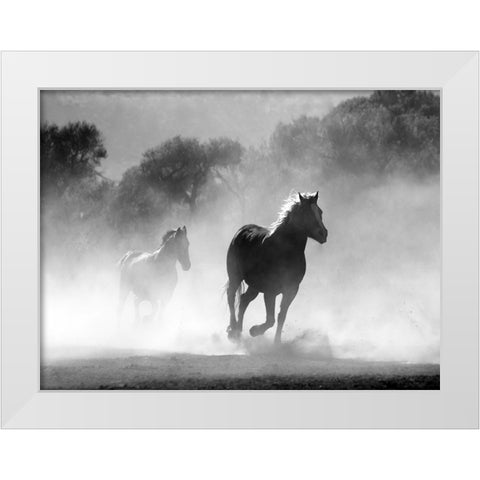 Horse 6 White Modern Wood Framed Art Print by Lee, Rachel