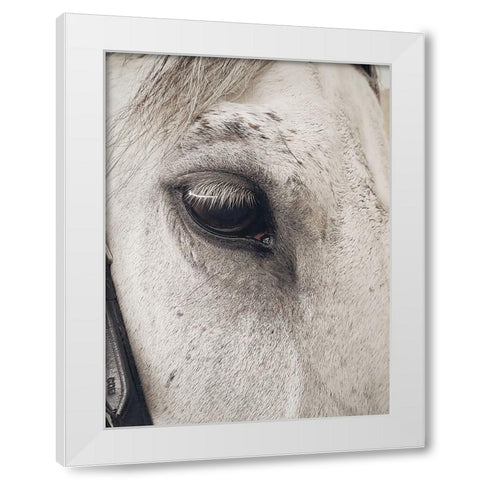 Horse 7 White Modern Wood Framed Art Print by Lee, Rachel