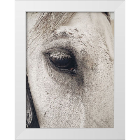 Horse 7 White Modern Wood Framed Art Print by Lee, Rachel