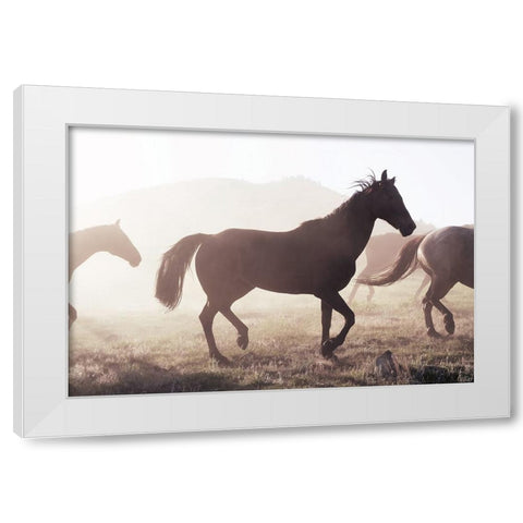 Horse 11 White Modern Wood Framed Art Print by Lee, Rachel