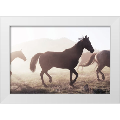 Horse 11 White Modern Wood Framed Art Print by Lee, Rachel