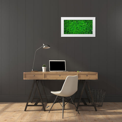 Leaves 10 White Modern Wood Framed Art Print by Lee, Rachel