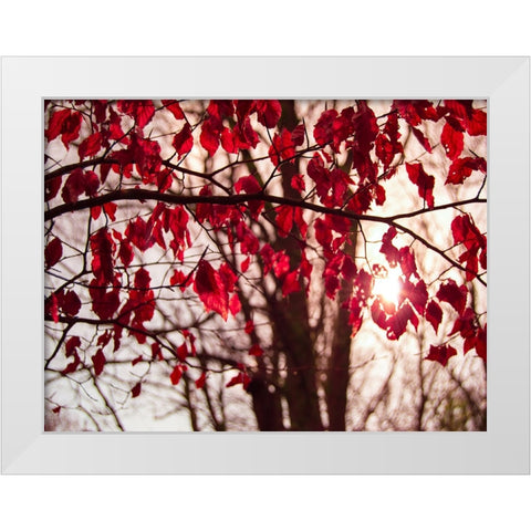 Leaves 11 White Modern Wood Framed Art Print by Lee, Rachel