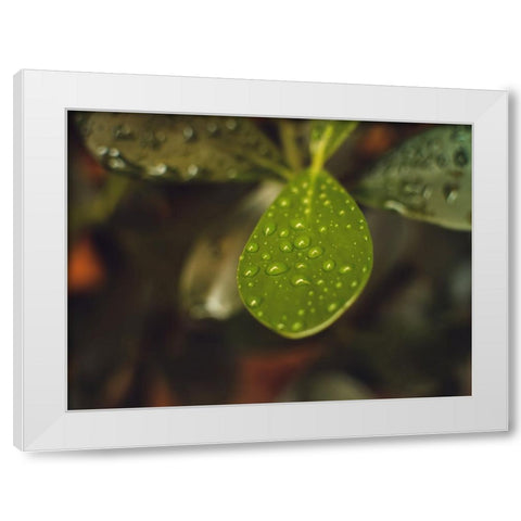 Leaves 13 White Modern Wood Framed Art Print by Lee, Rachel