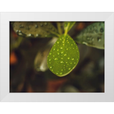Leaves 13 White Modern Wood Framed Art Print by Lee, Rachel