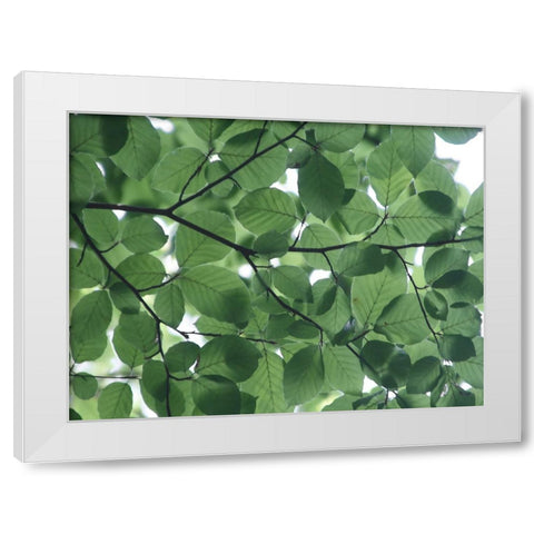 Leaves 14 White Modern Wood Framed Art Print by Lee, Rachel
