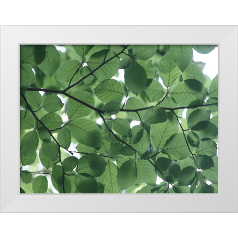 Leaves 14 White Modern Wood Framed Art Print by Lee, Rachel