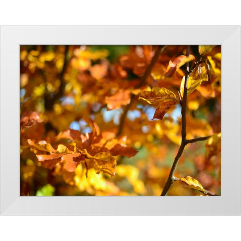 Leaves 15 White Modern Wood Framed Art Print by Lee, Rachel