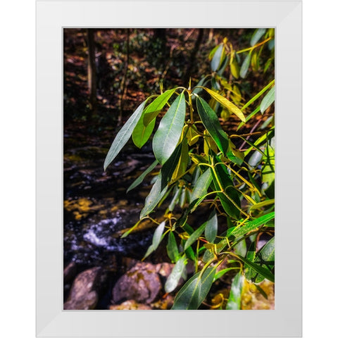 Leaves 18 White Modern Wood Framed Art Print by Lee, Rachel