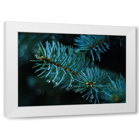 Leaves 20 White Modern Wood Framed Art Print by Lee, Rachel