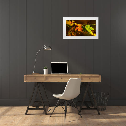 Leaves 21 White Modern Wood Framed Art Print by Lee, Rachel