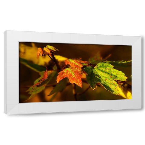 Leaves 21 White Modern Wood Framed Art Print by Lee, Rachel