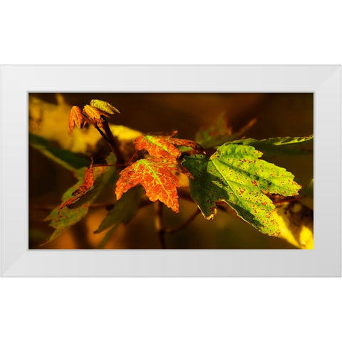 Leaves 21 White Modern Wood Framed Art Print by Lee, Rachel