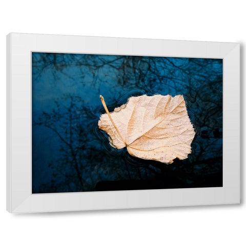 Leaves 3 White Modern Wood Framed Art Print by Lee, Rachel