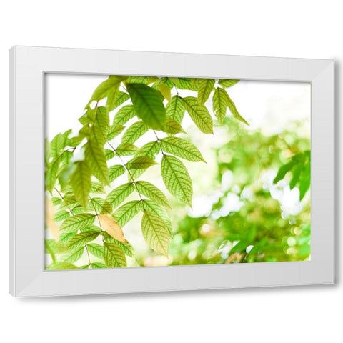 Leaves 4 White Modern Wood Framed Art Print by Lee, Rachel