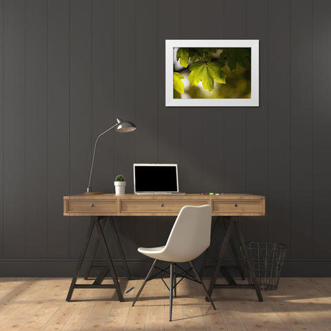Leaves 5 White Modern Wood Framed Art Print by Lee, Rachel