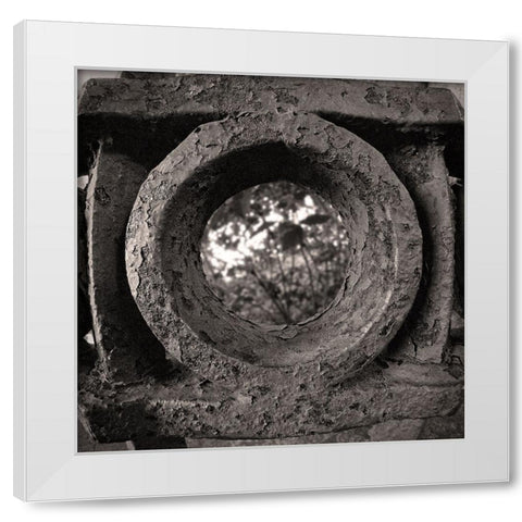 Lookout Iron BW White Modern Wood Framed Art Print by Lee, Rachel