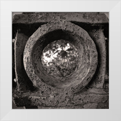 Lookout Iron BW White Modern Wood Framed Art Print by Lee, Rachel