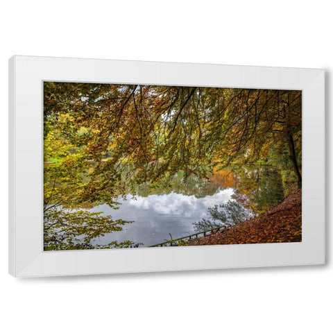 Mountain Lake 12 White Modern Wood Framed Art Print by Lee, Rachel