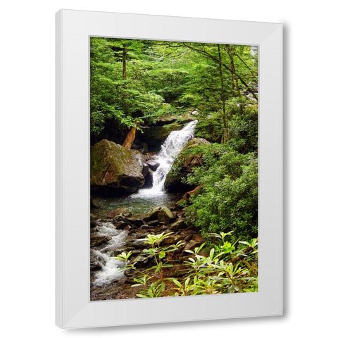 Mountain Laurel and Falls White Modern Wood Framed Art Print by Lee, Rachel