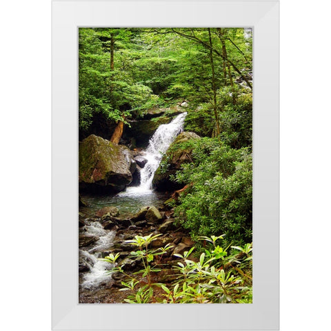 Mountain Laurel and Falls White Modern Wood Framed Art Print by Lee, Rachel
