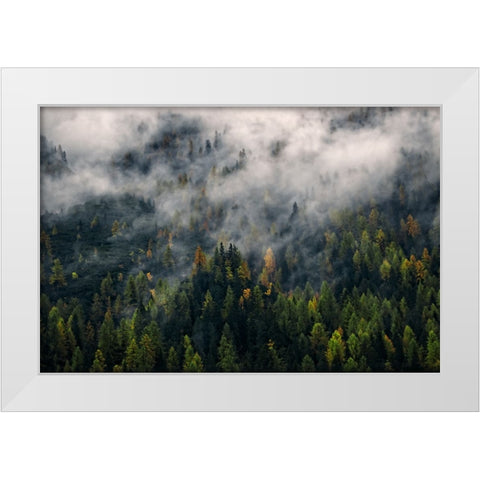 Mountain View 11 White Modern Wood Framed Art Print by Lee, Rachel