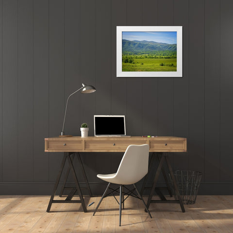 Mountain View 24 White Modern Wood Framed Art Print by Lee, Rachel