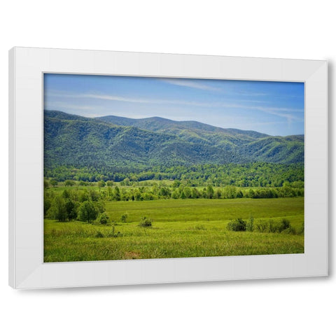 Mountain View 24 White Modern Wood Framed Art Print by Lee, Rachel