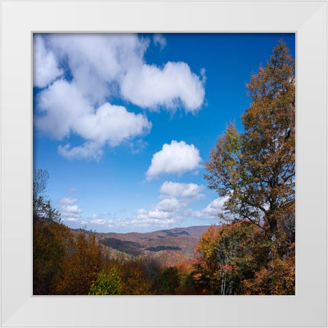 NC Fall Mountains 2 White Modern Wood Framed Art Print by Lee, Rachel