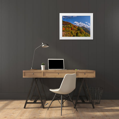NC Fall Mountains 6 White Modern Wood Framed Art Print by Lee, Rachel