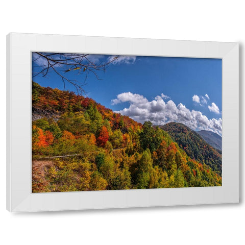 NC Fall Mountains 6 White Modern Wood Framed Art Print by Lee, Rachel