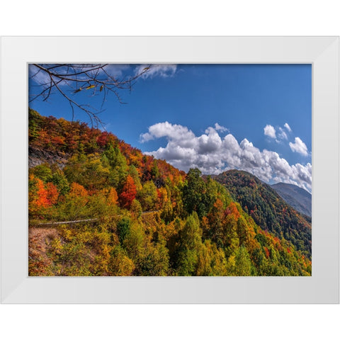 NC Fall Mountains 6 White Modern Wood Framed Art Print by Lee, Rachel